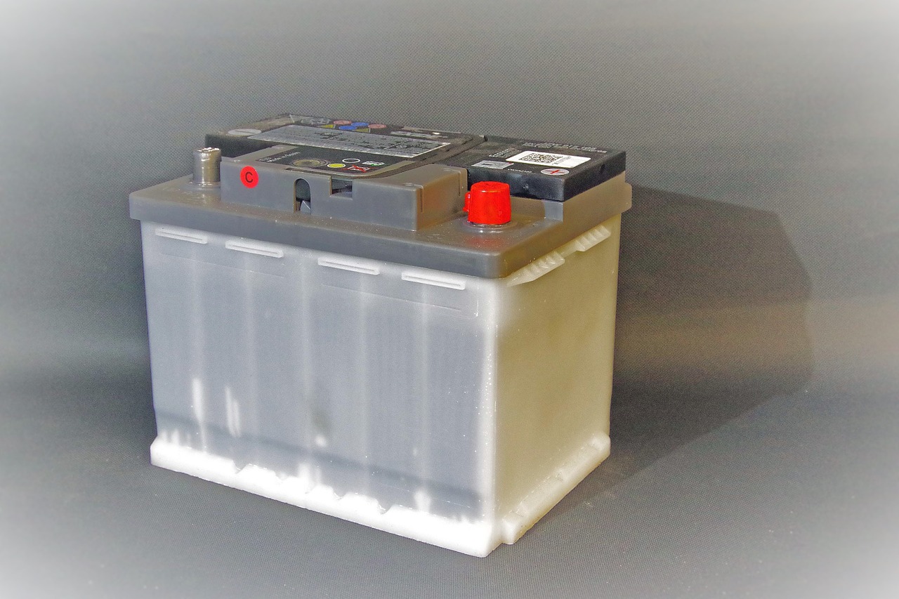 Know-how in Sodium ion/sodium metal batteries