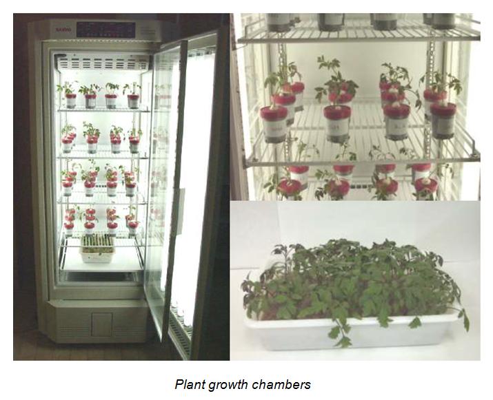 Research and development into new fertilizers and biostimulants