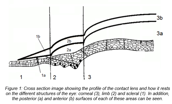 “PresbyCustom”: New customizable contact lenses to correct presbyopia