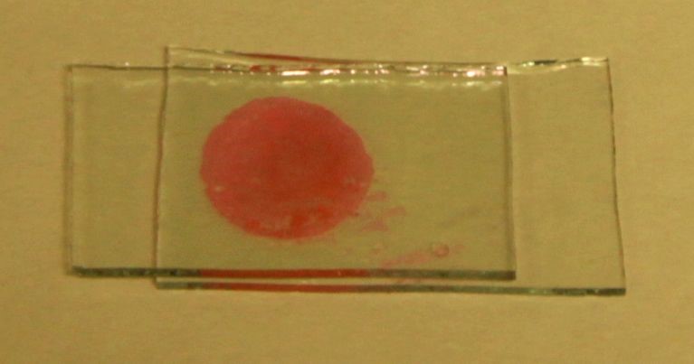 Holographic sensor for detection of adulterants in essential oils